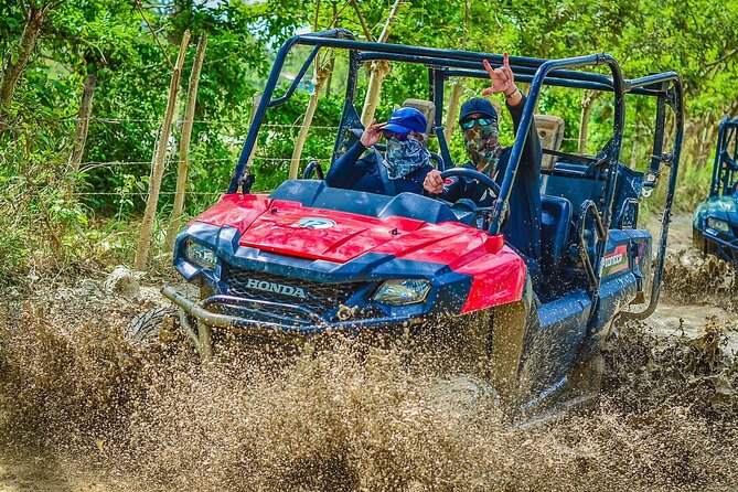 Vip Punta cana Buggies - Tours Point Ranch: Coffee, Cacao, and Tobacco on a Real Working Farm