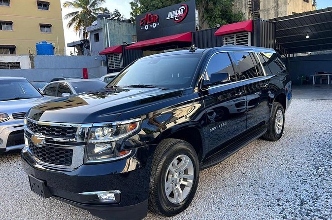 VIP Transfers PUJ Airport to Bavaro and Punta Cana Hotels - Small Details That Matter: Tips, Service Animals, and Time Reality