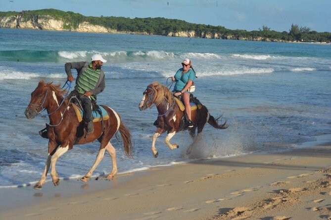 Want to Learn to Gallop at Bavaro Punta Cana Beach! - Key Highlights You’ll Actually Feel