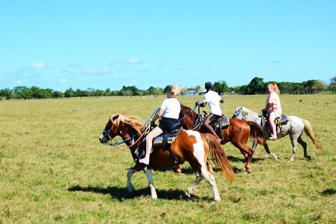 Want to Learn to Gallop at Bavaro Punta Cana Beach! - Boca de Maimón: The River-in-Sea Spectacle