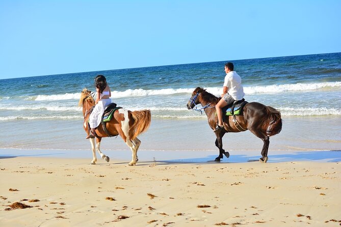 Want to Learn to Gallop at Bavaro Punta Cana Beach! - Who Should Book This Ride (and Who Might Want to Rethink)
