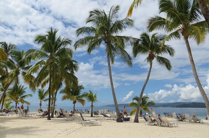 Whale Watching and Bacardi Island day trip from Punta Cana - What to expect at each step of the day