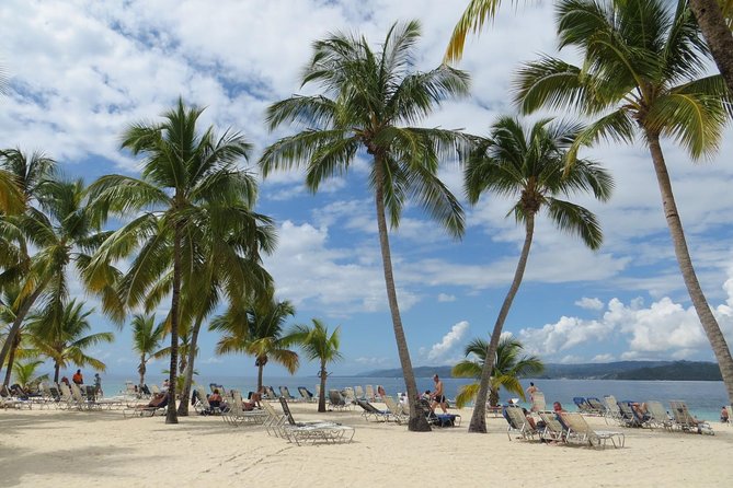 Whale Watching and Bacardi Island day trip from Punta Cana - Tips to make the most of whale season and a beach stop