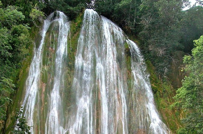 Whale Watching & Limón Waterfall Day Trip - 30-minute horseback ride: coffee, cocoa, and tropical plants
