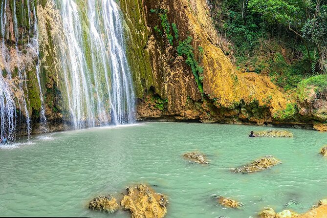 Whale Watching & Limón Waterfall Day Trip - How the timing adds up: you’ll feel the 13-hour schedule