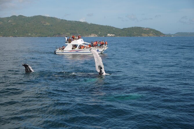 Whale Watching & Limón Waterfall Day Trip - El Salto del Limon: 165 feet of waterfall and a stair workout