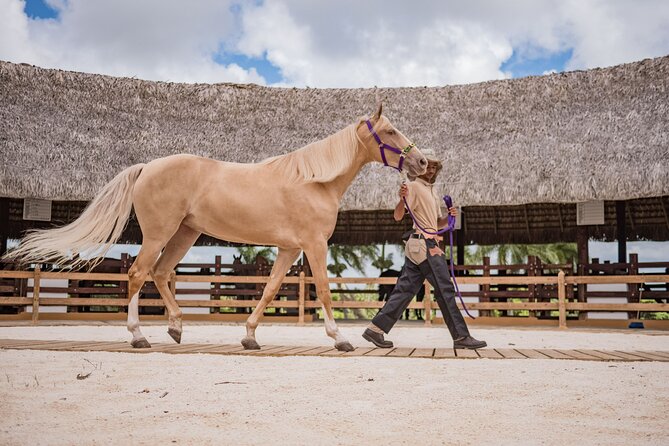 Xploration Animal Encounters Half Day Tour from Punta Cana - Animal encounters that are more than posing