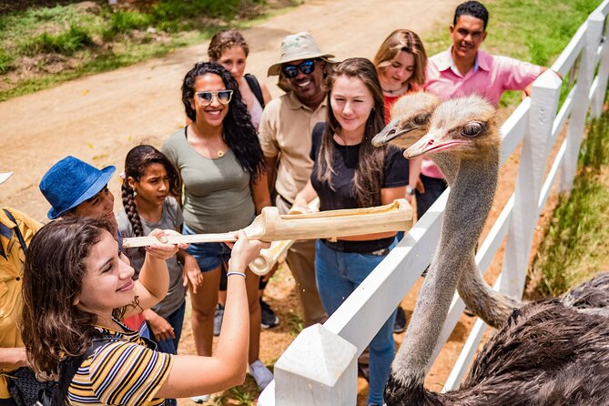 Xploration Animal Encounters Half Day Tour from Punta Cana - Inside that mega truck: comfort, safety, and what to expect