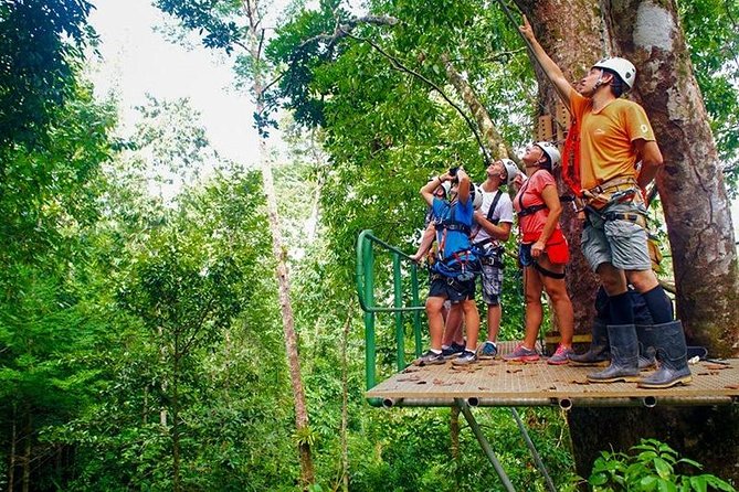Zip Line - Half Day Adventure - Fitness and Stairs: What Moderate Physical Fitness Means for You