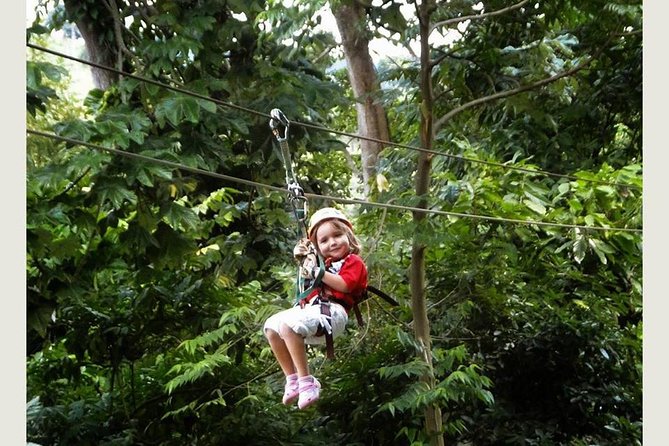 Zip Line - Half Day Trip - The 6 Lines Plus Splash Landing: How the Course Feels