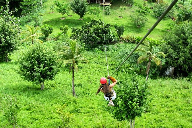 Zip Line in Punta Cana - The Start at the Base: Walking In and Then Flying Out
