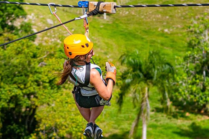 Zip Line or Canopy Zip Line Tours from Punta Cana - What You’ll See Above Punta Cana’s Tropical Forest