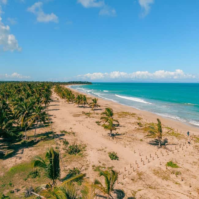 Zip Line Playa Esmeralda With Redonda Mountain - Dominican buffet lunch: a real energy reset mid-tour