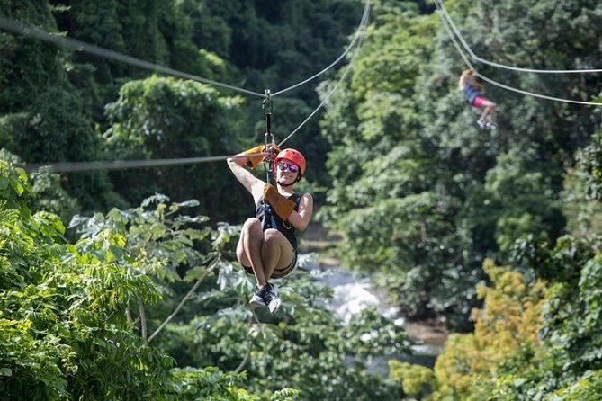 Zipline Adventure in Punta Cana – Thrilling Canopy Experience - Flying Views: What Up to 60 Feet Off the Ground Feels Like