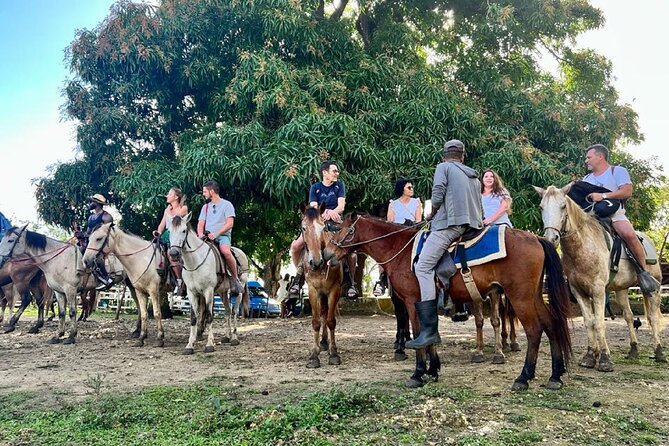 Zipline,Dune Buggy,Horse Riding - Price and Value at $70: What You Get, What to Plan For