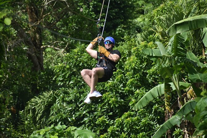 Zipline, Horse, Buggy and Macao Beach, Water Park with Lunch - Organic farm tastings and lunch: real Dominican flavor, not just a snack